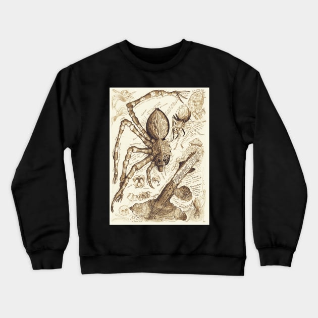 Whooping Spider Anatomy Study Crewneck Sweatshirt by Ballyraven